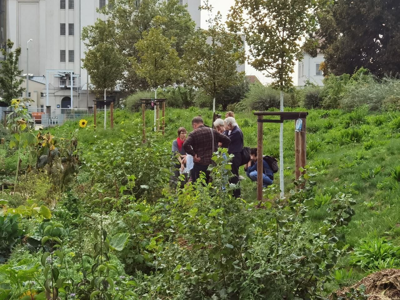 Naschen und Ernten im Garten Alberthafen