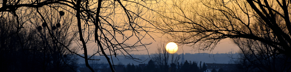 Sonnenuntergang Ostragehege