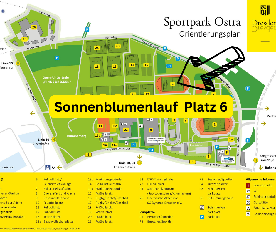 Laufend gegen Krebs: Sonnenblumenlauf im Sportpark Ostra
