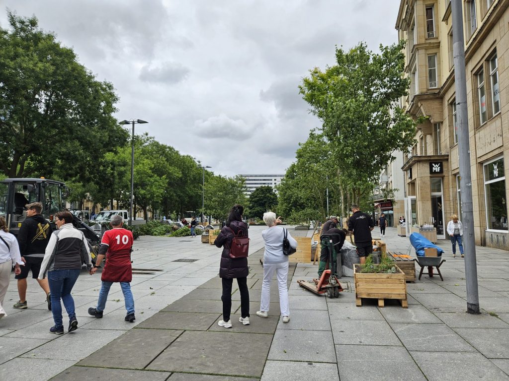 Bäume werden auf der Seestraße gepflanzt. Aber bleiben die?