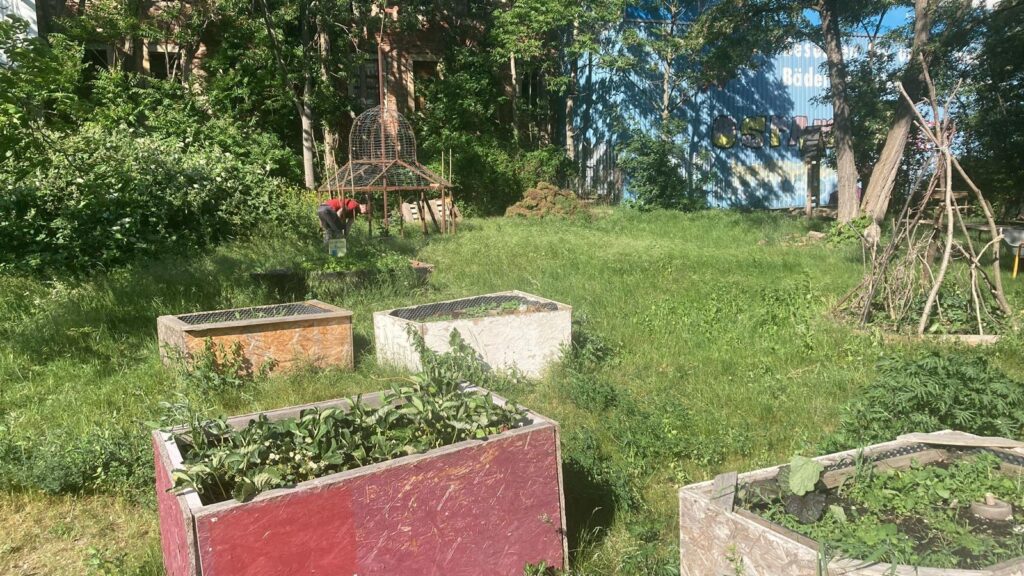 Gemeinschaftsgarten,