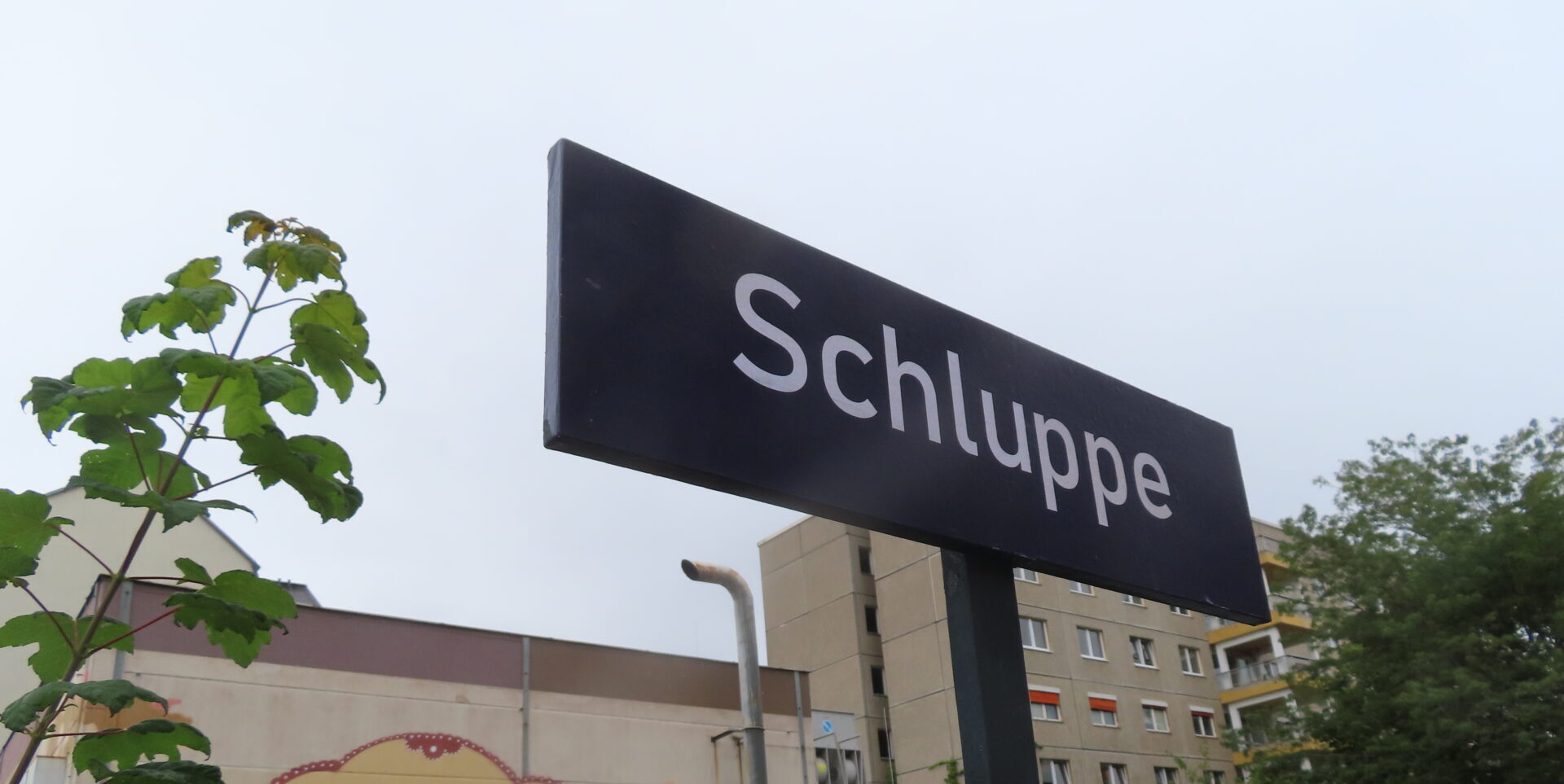 Schluppe