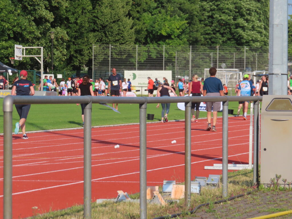 Sonnenblumenlauf