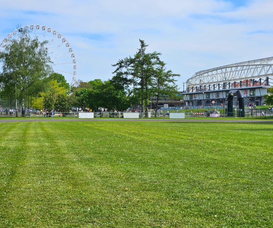Heinz-Steyer-Stadion mit Wiese und Riesenrad im Sommer