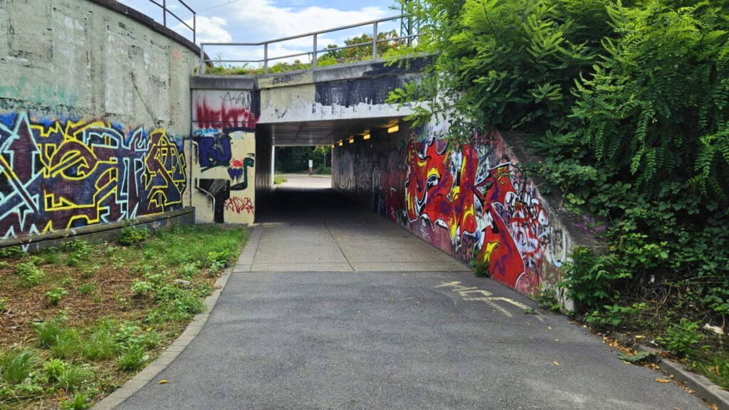 Streetart am Durchgang zum Weißeritzgrünzug