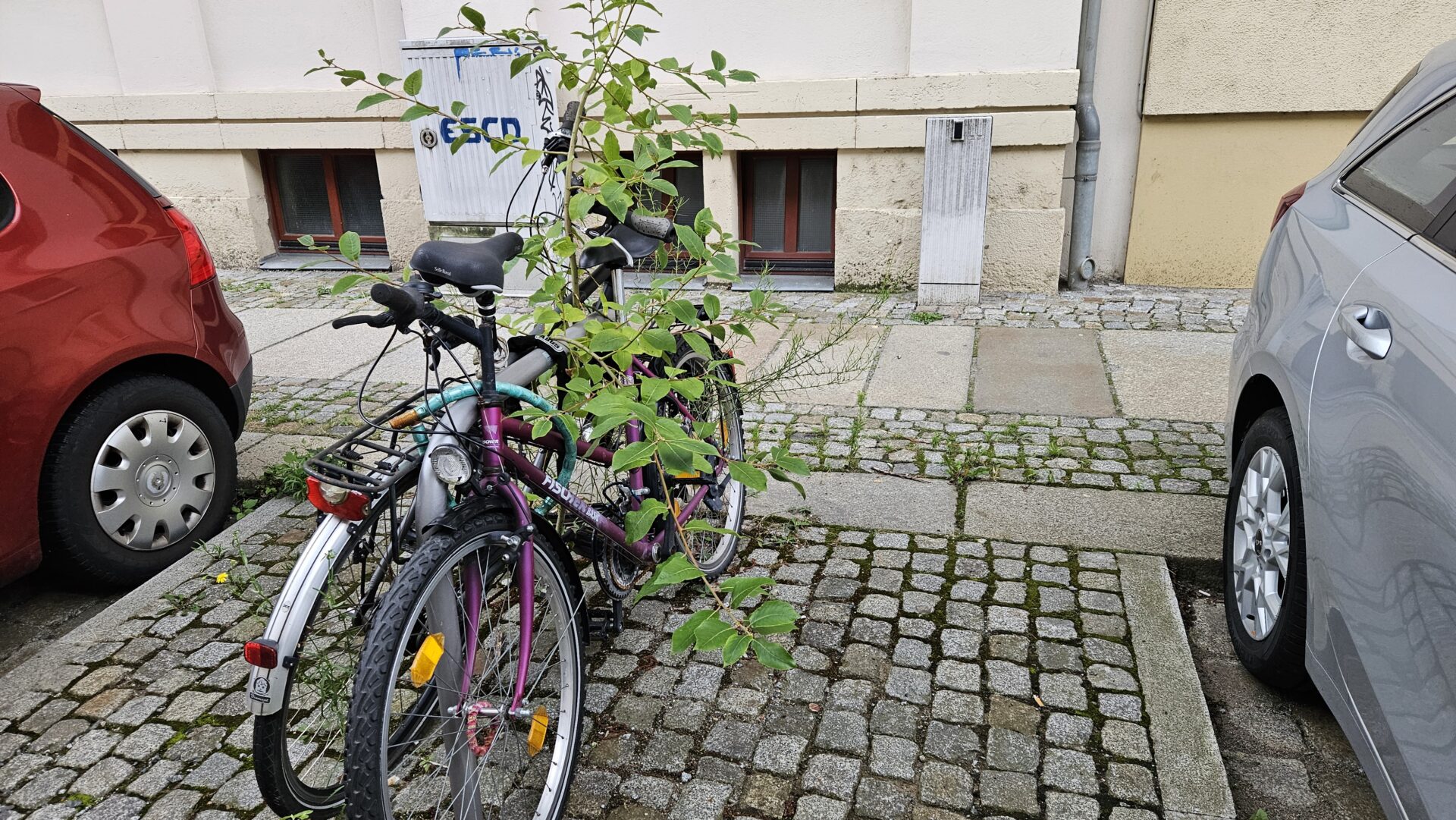 Fahrradbügel wird urbanes Kunstwerk