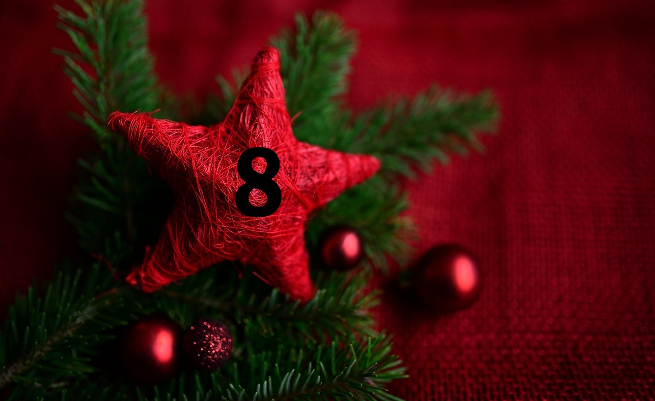 Friese Adventsrätsel – 8