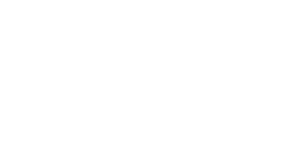 friese journal Logo